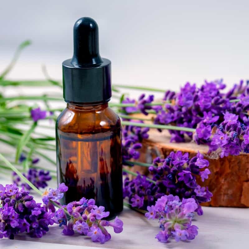 is lavender oil good for hair