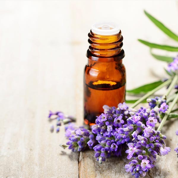 how to use lavender oil for hair growth